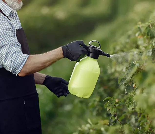 Your Proven Mosquito Treatment Company in West Orange, NJ