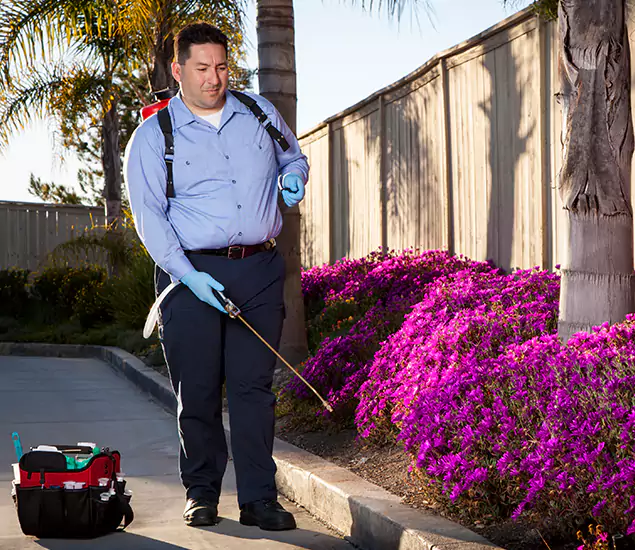 About Our Eco Safe Pest Control Experts in West Orange, NJ