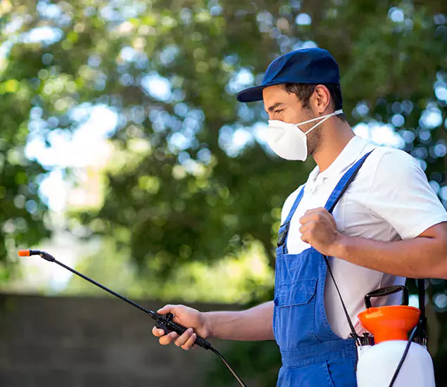 Your Trusted Flea and Tick Control in West Orange, NJ
