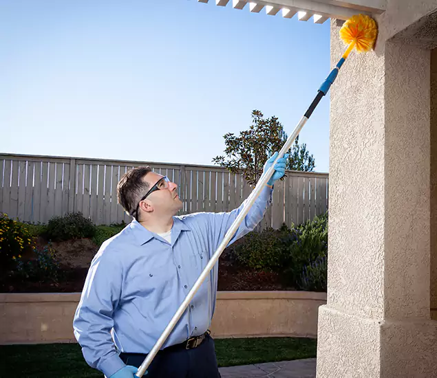 Trusted Experts in West Orange NJ for Formosan Termite Treatment and Black Termite Control