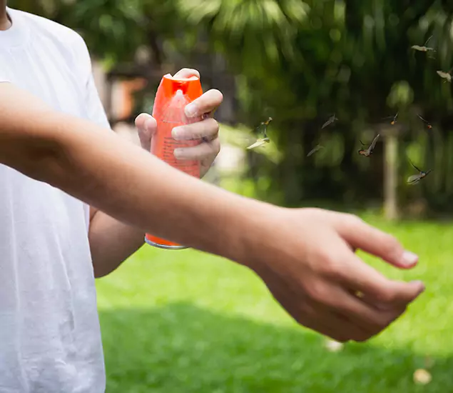 Your Best Indoor Bug Killer Team in West Orange, NJ