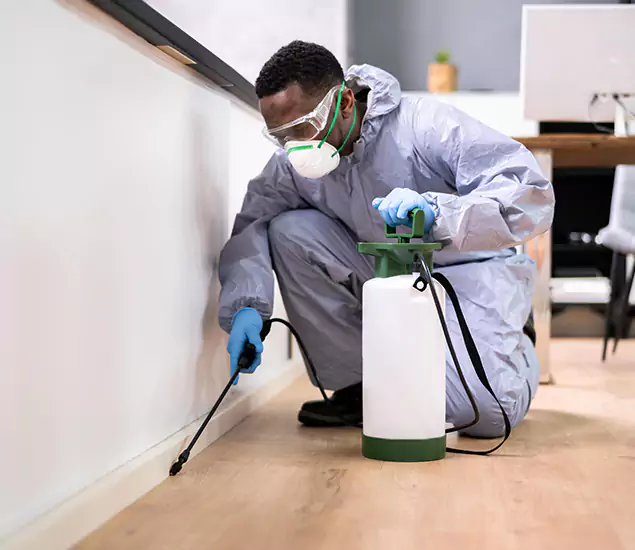 Leading Industrial Pest Control Experts Serving West Orange, NJ