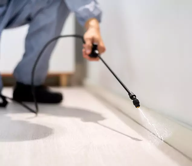 About Our Liquid Termite Treatment Experts in West Orange, NJ