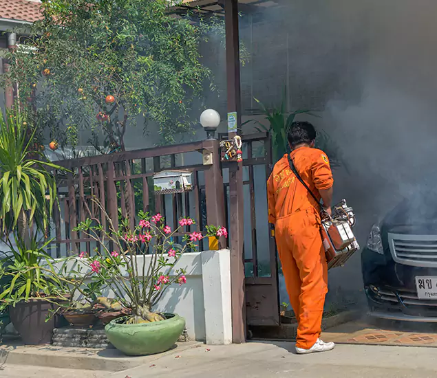 Your Proven Mosquito Fogging Company in West Orange, NJ