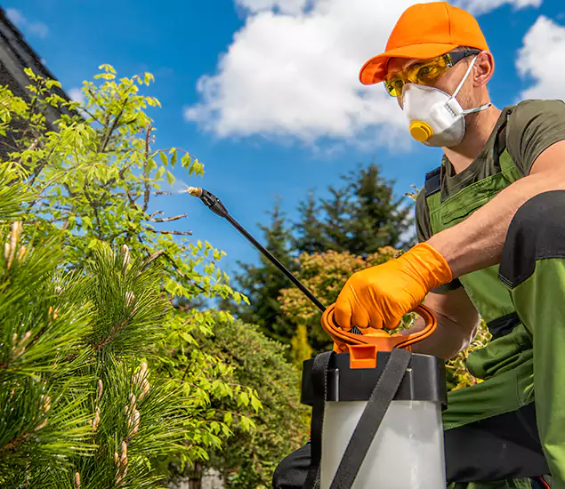 Your Best Bug Spray for Home Team in West Orange, NJ