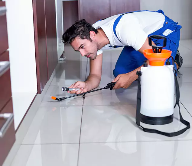 Reliable Professional Mouse Removal: Your Best Mouse Control Company in West Orange, NJ