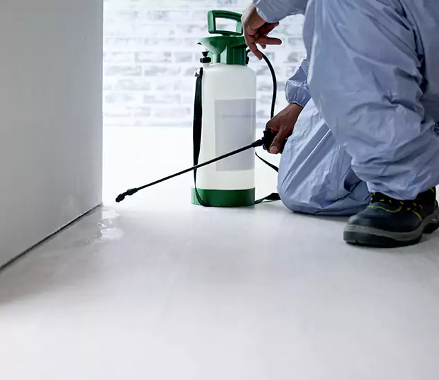 Affordable Pest Control Experts in West Orange, NJ
