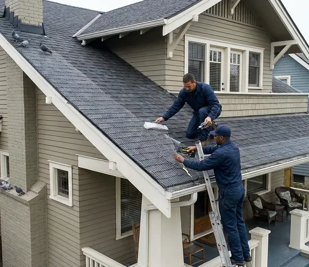 Your Pigeon Control Experts in West Orange, NJ
