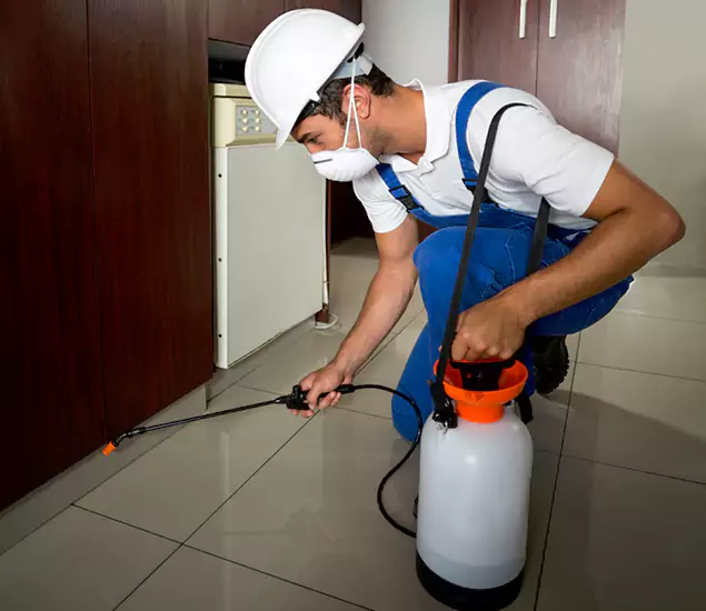 Advanced Termite Pre Treatment Experts in West Orange, NJ