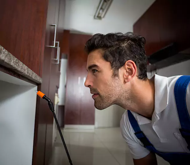 Expert Rodent in Attic Removal: Your Proven Pest Specialists in West Orange, NJ
