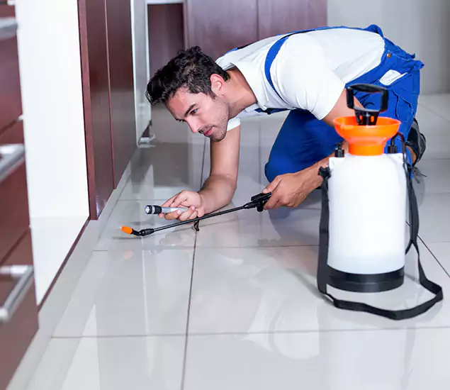 Advanced Slab Termite Treatment Experts You Can Trust&nbsp;in West Orange, NJ