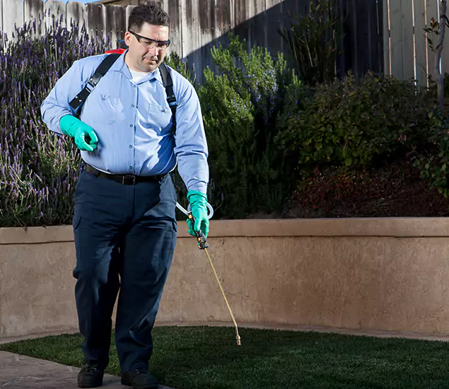 Reliable Termite Barrier Treatment Experts in West Orange, NJ