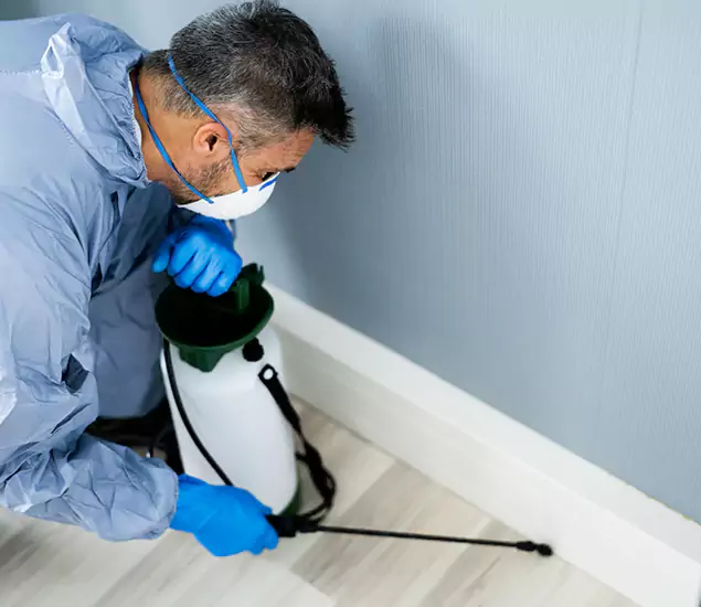 Reliable Termite Cost Experts in West Orange, NJ