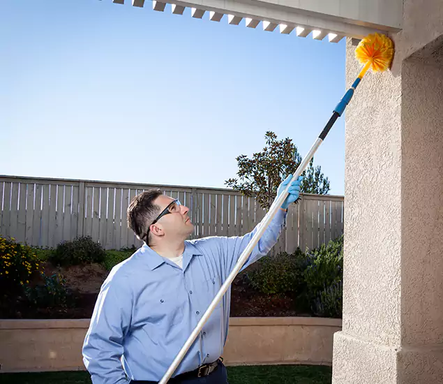 Your Trusted Wasp Removal Company in West Orange, NJ