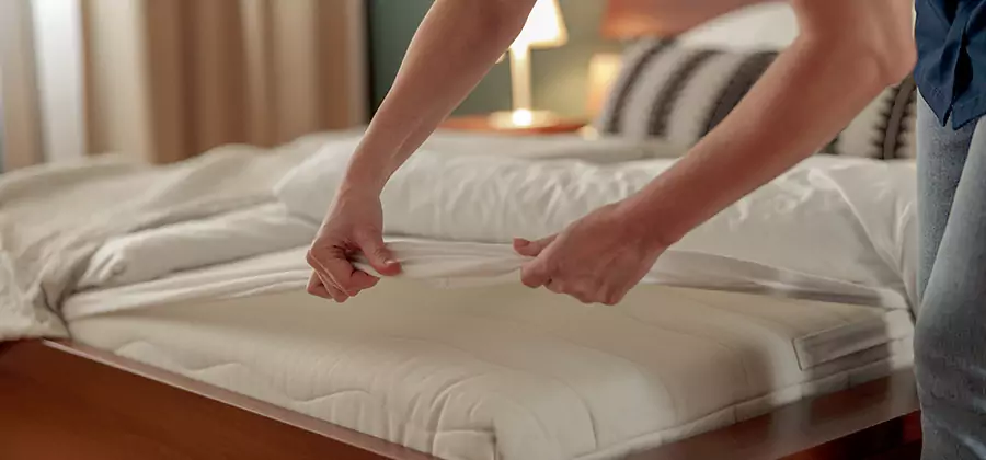 Bed Bug Extermination Services in West Orange