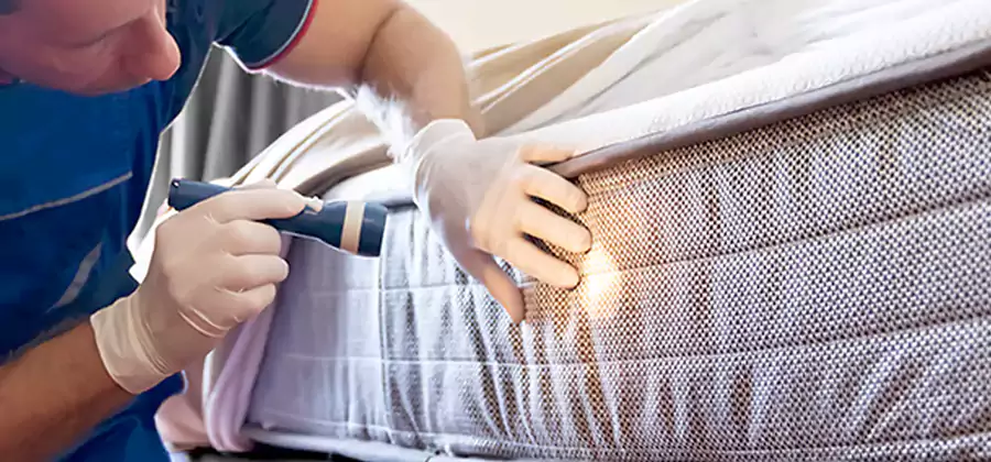 Residential Bed Bug Treatment Cost in West Orange