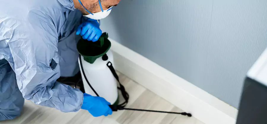 Fumigate Apartment Roaches in West Orange