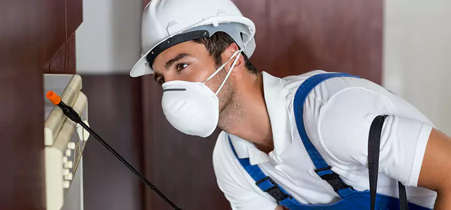 Injection Foam Treatment for Drywood Termites in West Orange