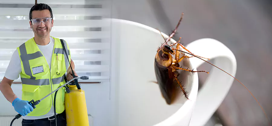 German Roach Infestation Treatment West Orange