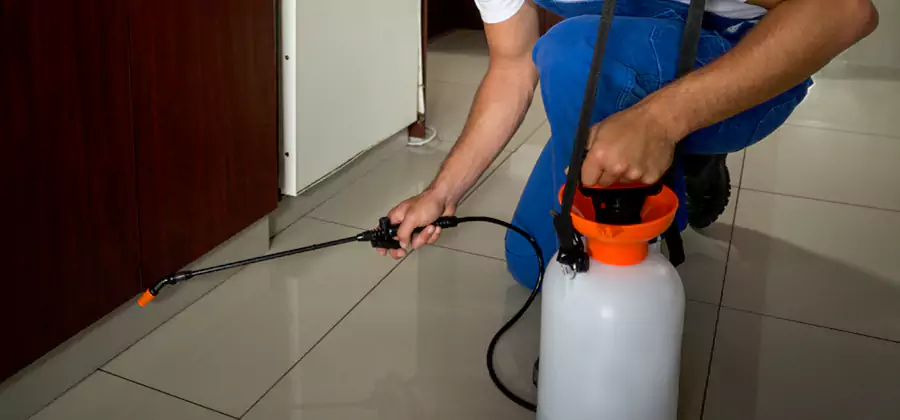 Indoor Mosquito Treatment in West Orange