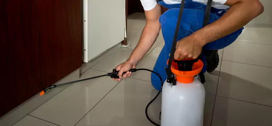 Indoor Insect Killer Solutions in West Orange