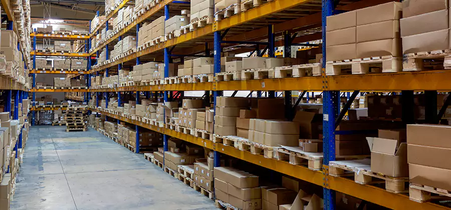 Warehouse Pest Control in West Orange