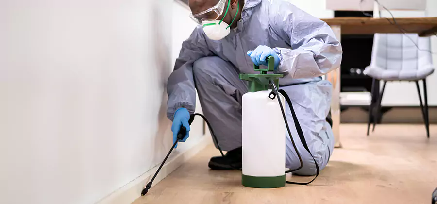 Long Lasting Mosquito Treatment in West Orange
