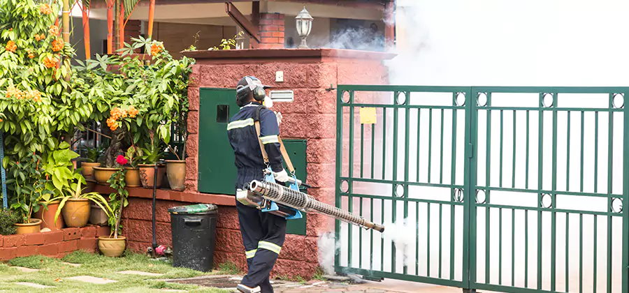 Backyard Mosquito Foggers Service in West Orange