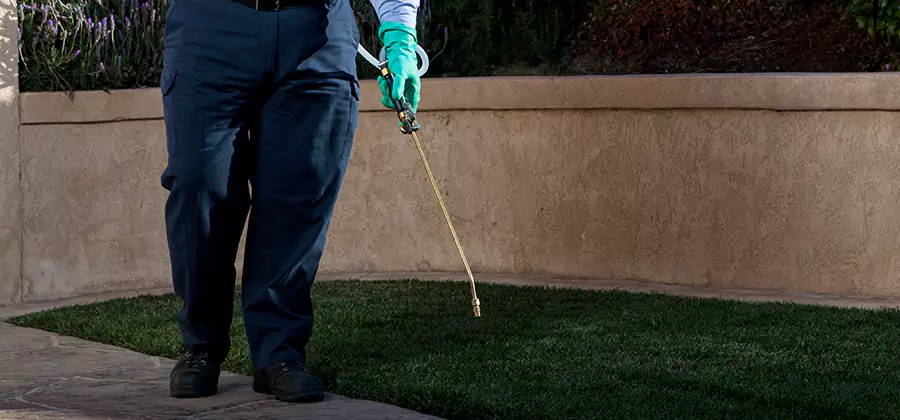 Soil Treatment for New Construction Termites in West Orange