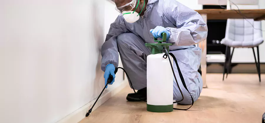No Tent Termite Extermination With Electric Tool in West Orange