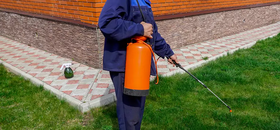 Non Toxic Termite Treatment in West Orange