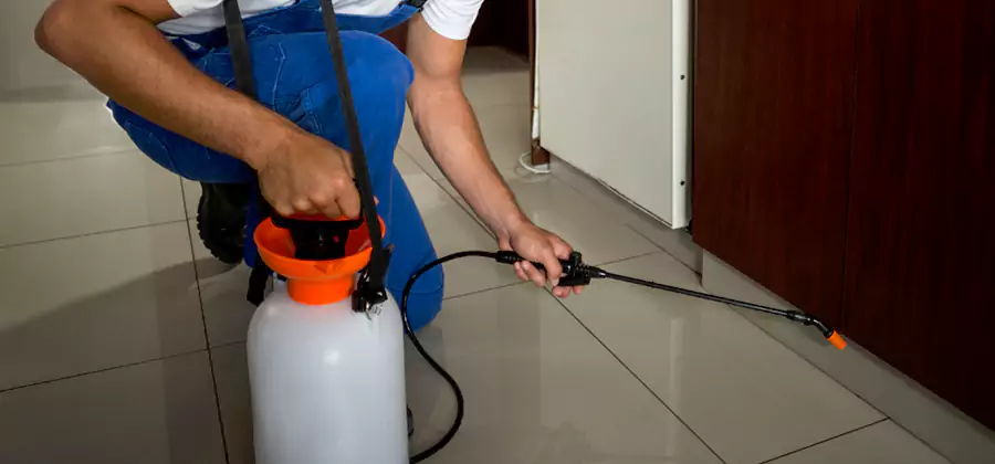 One Time Termite Control in West Orange