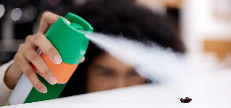 Child Safe Bed Bug Treatment in West Orange