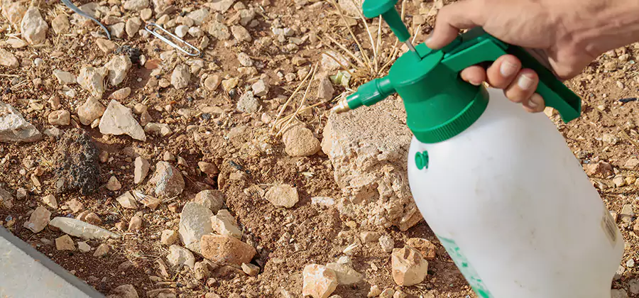 Heat Treatment Termite Cost in West Orange