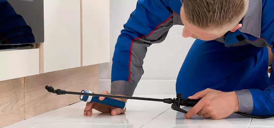 Moisture Treatment For Termite Control Service in West Orange