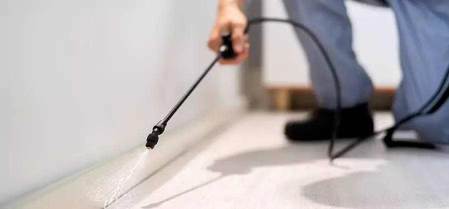 Direct Termite Injection Treatment in West Orange