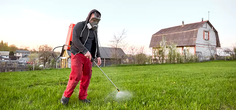 Flea and Tick Pest Control in West Orange