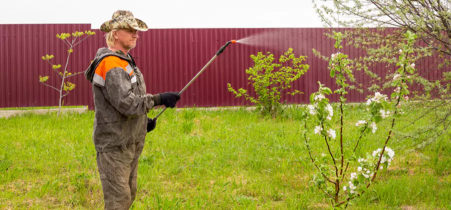 Flea and Tick Spray for Yard in West Orange