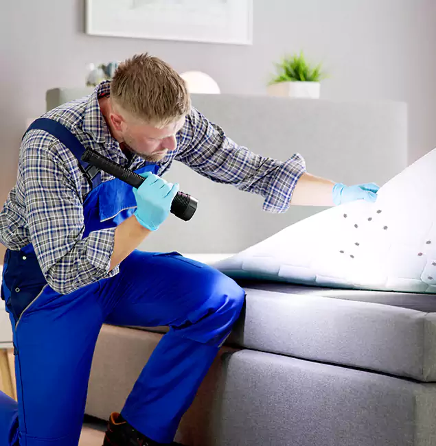 Why Choose West Orange Pest Control Pro for Bed Bug Exterminator Cost in West Orange, NJ?
