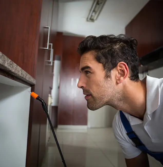 Why Choose West Orange Pest Control Pro for Bed Bug Removal Cost in West Orange, NJ?