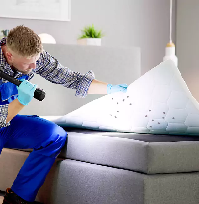 Why Choose West Orange Pest Control Pro in West Orange, NJ?