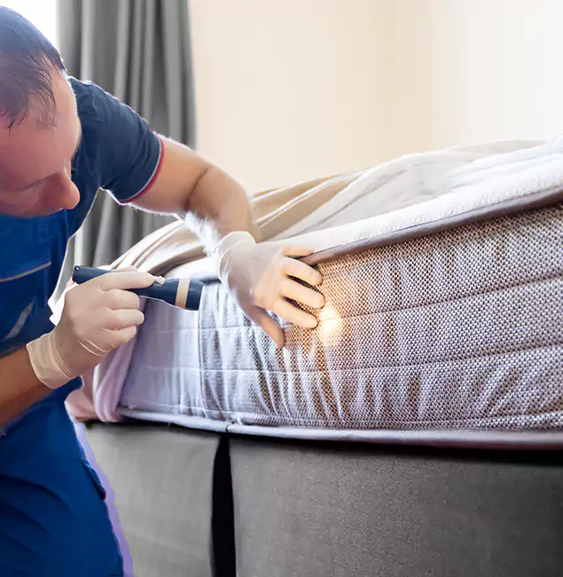 Why Choose West Orange Pest Control Pro for Bed Bug Services in West Orange, NJ?