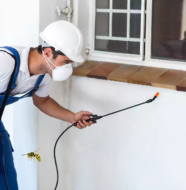 Why West Orange Property Owners Choose West Orange Pest Control Pro for Bee Nest Removal?