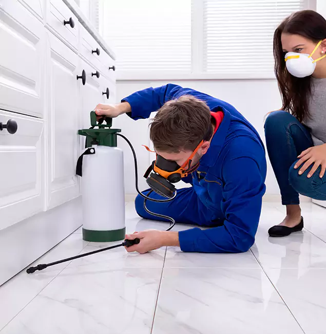 Why Choose West Orange Pest Control Pro in West Orange, NJ?