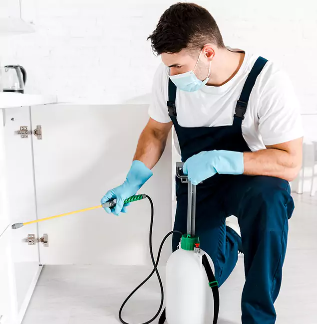 Why Choose West Orange Pest Control Pro for Emergency Pest Control in West Orange?