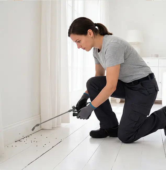 Why West Orange, NJ Property Owners Trust West Orange Pest Control Pro for Fire Ant Control?