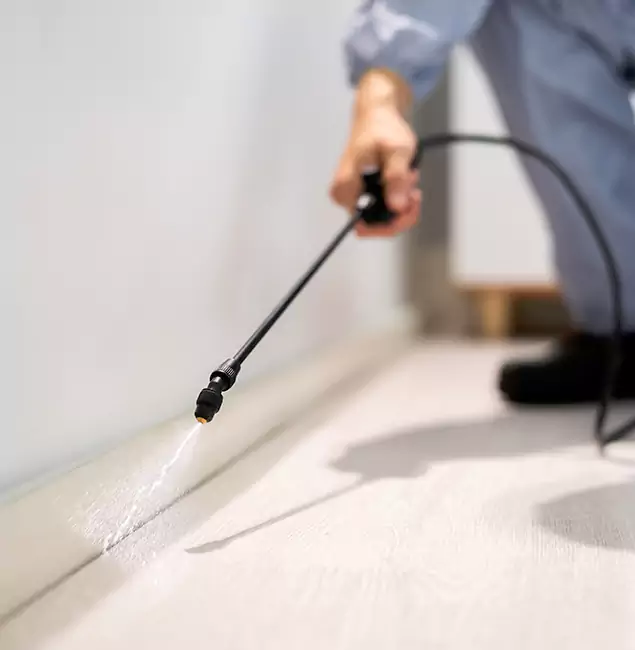 Why Choose West Orange Pest Control Pro for Termite Treatment in West Orange, NJ?