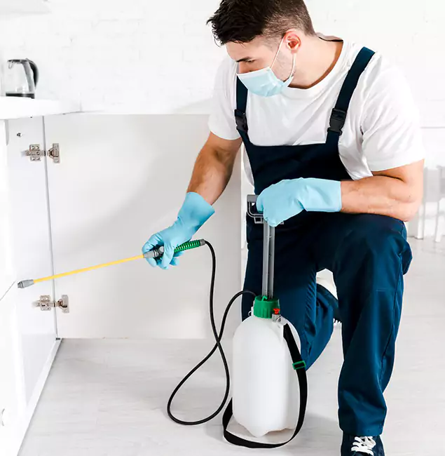 Why West Orange, NJ Homeowners Trust Us for German Roach Control?