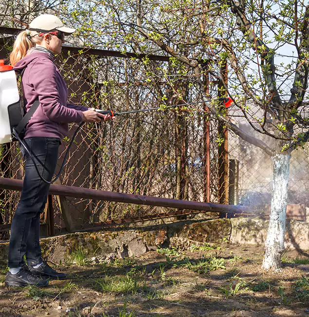 Why West Orange Homeowners Choose West Orange Pest Control Pro for Mosquito Abatement?