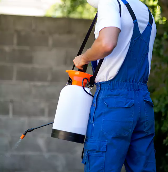 Why West Orange Homeowners Rely on West Orange Pest Control Pro for Mosquito Control?